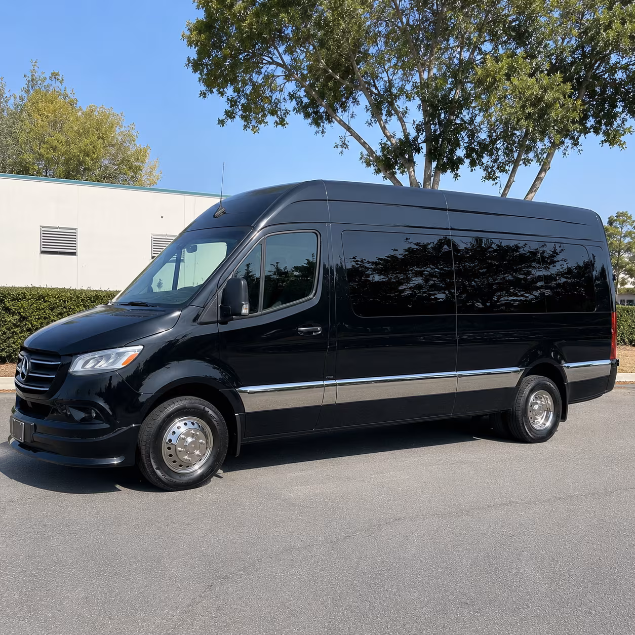 sprinter van options for overland park trips